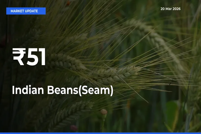 Indian Beans(Seam) Prices Trend Across 51+ Mandis – Market Direction Turns Clear