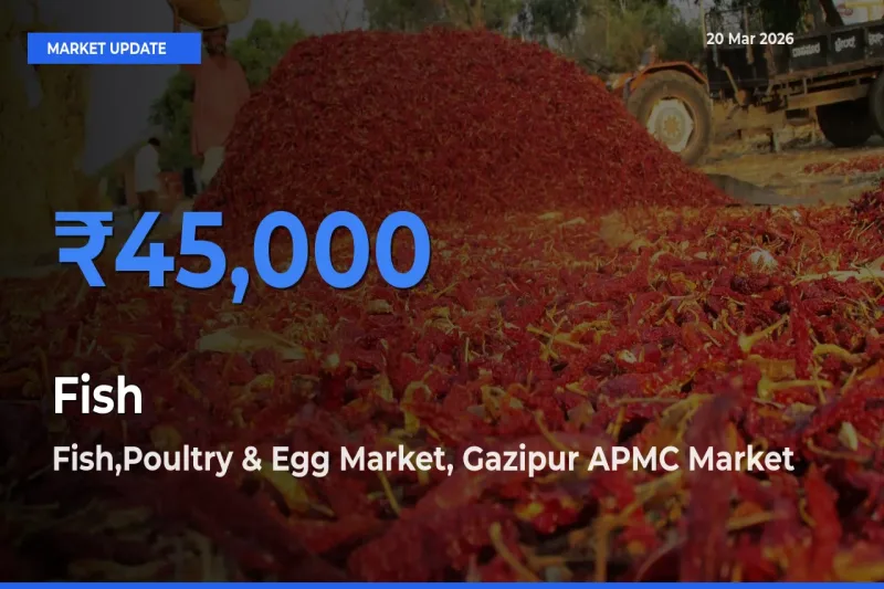 Fish Mandi Rate Today: Fish,Poultry & Egg Market, Gazipur APMC Tops the List