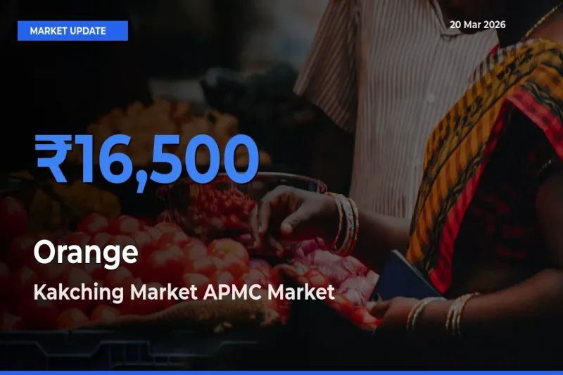 Kakching Market APMC Offers ₹16,500 – Highest Orange Rate Today