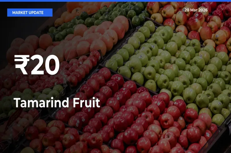 Tamarind Fruit Trend Strengthens Across Major Mandis