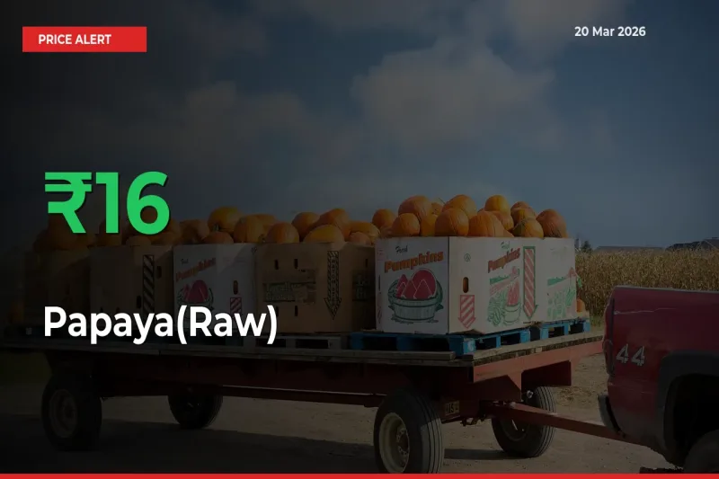 Papaya(Raw) Rises 16.22% at Mandis