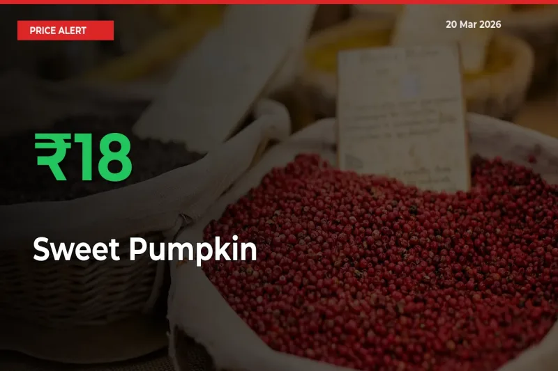 Sweet Pumpkin Rises 17.85% at Mandis