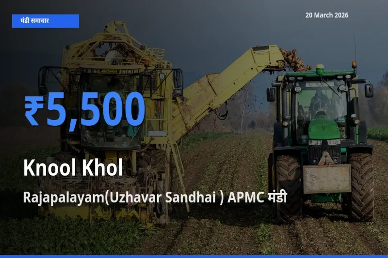 20 March अपडेट: गांठगोभी के सबसे ऊँचे दाम Rajapalayam(Uzhavar Sandhai ) APMC मंडी में