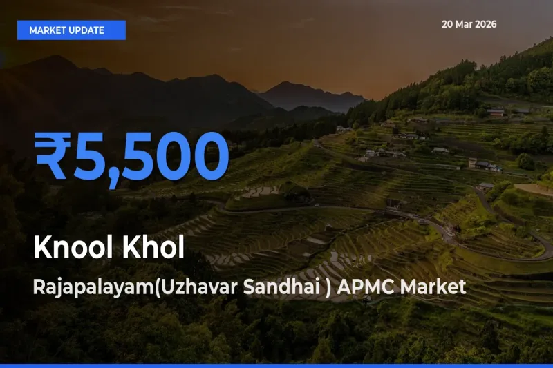 Market Watch: Rajapalayam(Uzhavar Sandhai ) APMC Becomes Top Mandi for Knool Khol