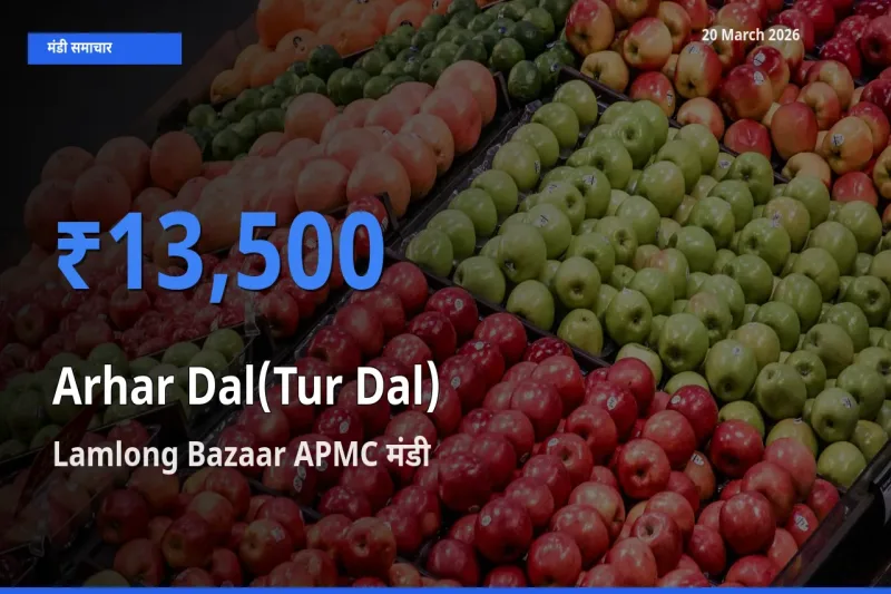 किसानों की पसंद बना Lamlong Bazaar APMC, अरहर दाल के सबसे अच्छे दाम