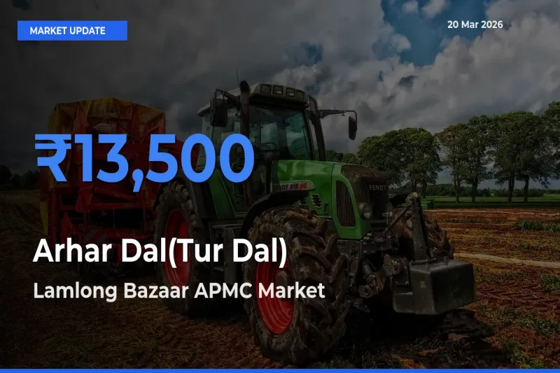 Lamlong Bazaar APMC Records Highest ₹13,500 Rate for Arhar Dal(Tur Dal)