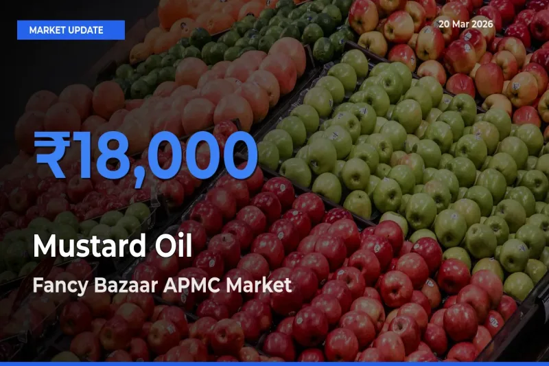 Fancy Bazaar APMC Emerges as Top Mandi for Mustard Oil Prices Today