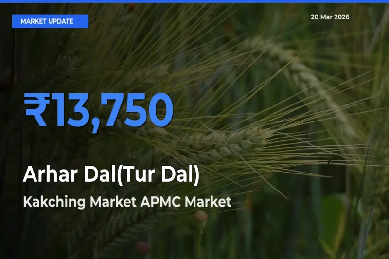 Farmers Prefer Kakching Market APMC as Arhar Dal(Tur Dal) Hits Highest Rate
