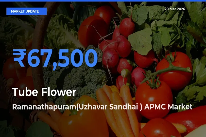 Ramanathapuram(Uzhavar Sandhai ) APMC Tops Tube Flower Rates – March 20 Market Update