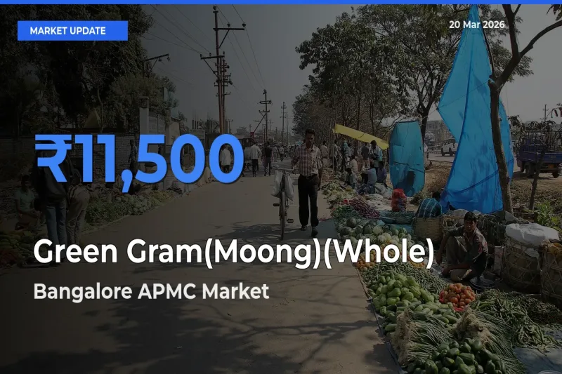 Market Watch: Bangalore APMC Becomes Top Mandi for Green Gram(Moong)(Whole)