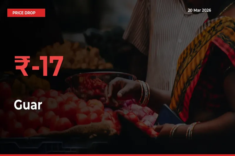 Guar Prices Drop 17.09% in 24 Hours at Major Mandis