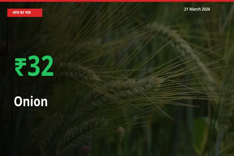प्याज 31.93% उछला, मंडी