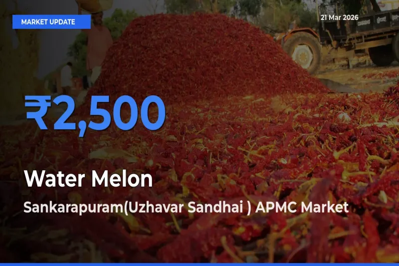 Sankarapuram(Uzhavar Sandhai ) APMC Tops Water Melon Mandi Rates Today