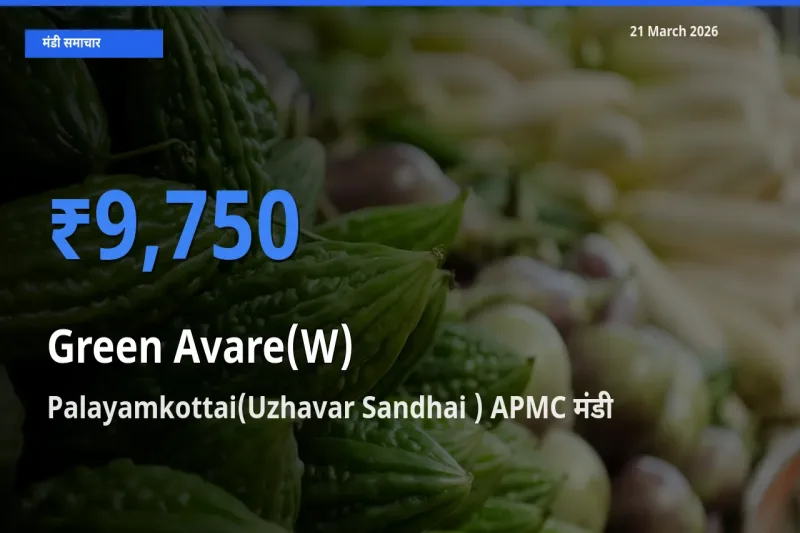 टॉप मंडी बना Palayamkottai(Uzhavar Sandhai ) APMC! हरी सेम के सबसे ऊँचे दाम यहीं दर्ज