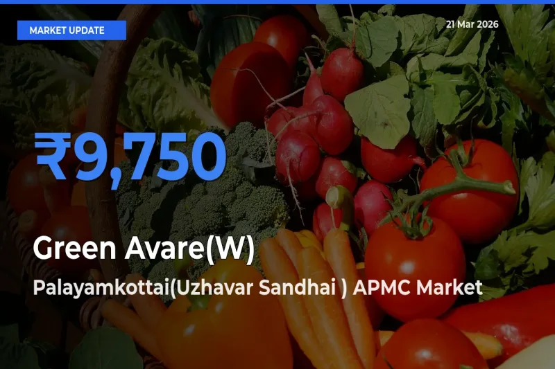 Palayamkottai(Uzhavar Sandhai ) APMC Tops Green Avare(W) Mandi Rates Today