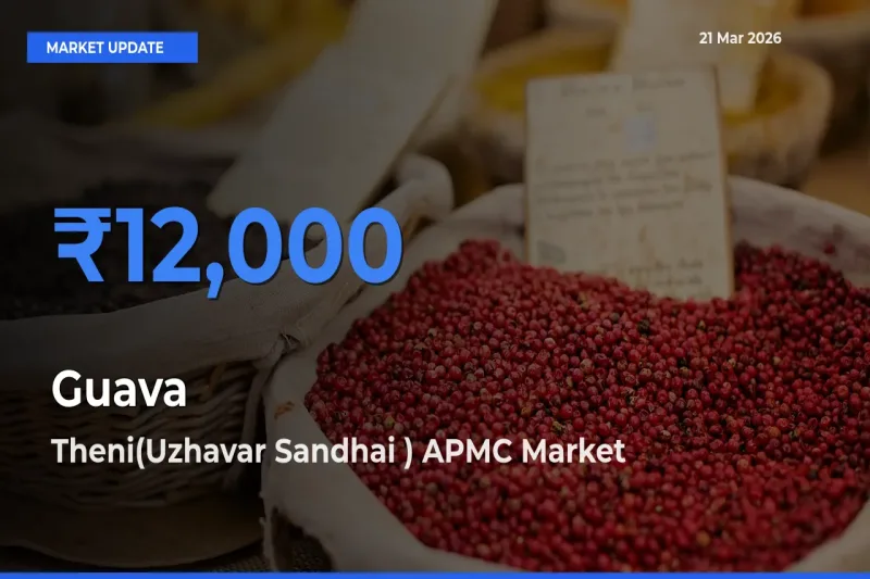 Farmers Prefer Theni(Uzhavar Sandhai ) APMC as Guava Hits Highest Rate