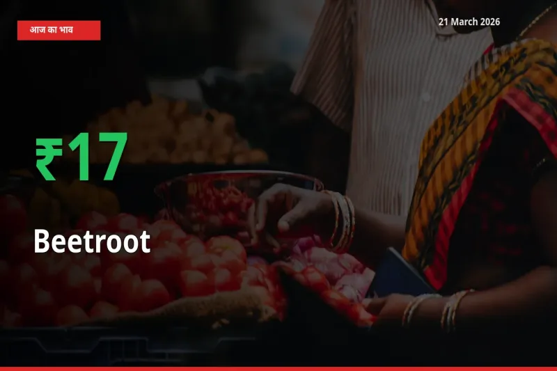 आज का मंडी भाव: चुकंदर के दाम मंडी में 16.65% ऊपर