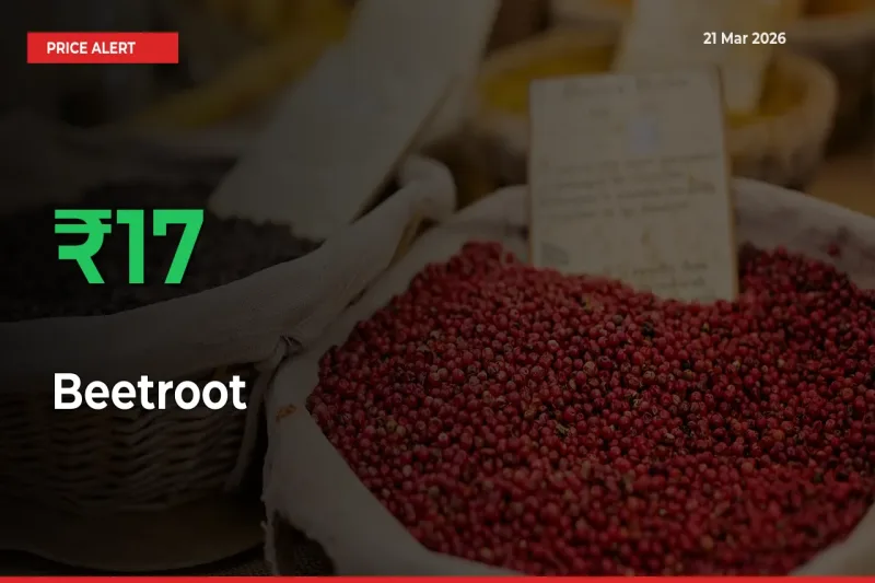 This Mandi Records 16.65% Jump in Beetroot Prices