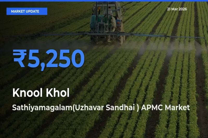 Sathiyamagalam(Uzhavar Sandhai ) APMC Tops Knool Khol Rates – March 21 Market Update