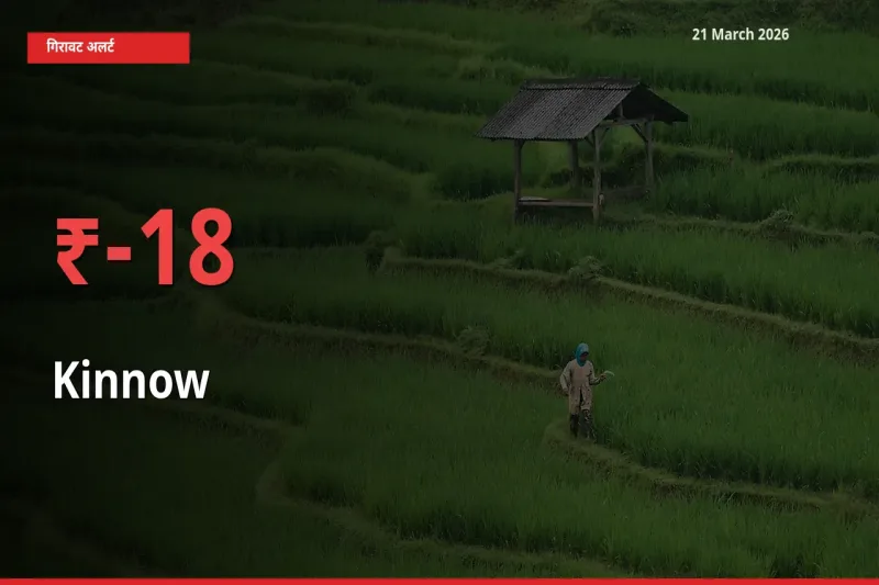 18.35% की गिरावट! मंडी में किन्नू के दाम अचानक टूटे