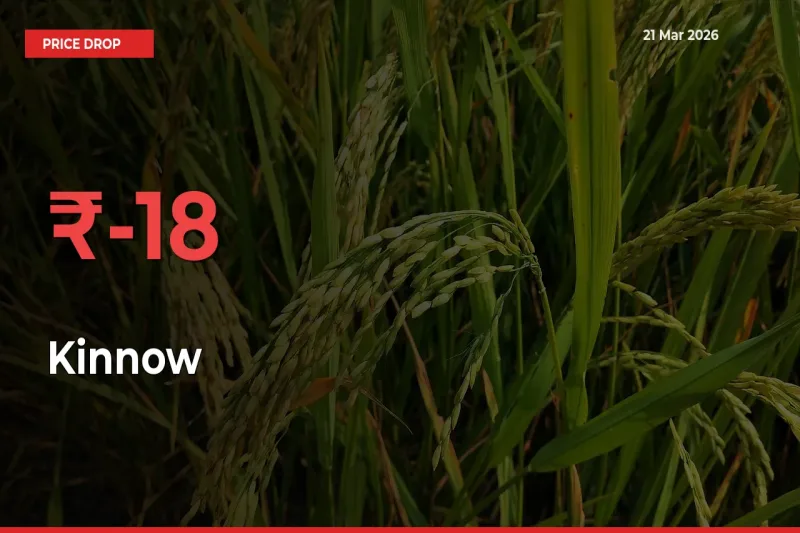 Kinnow Mandi Rate Today: Prices Fall 18.35% at Market