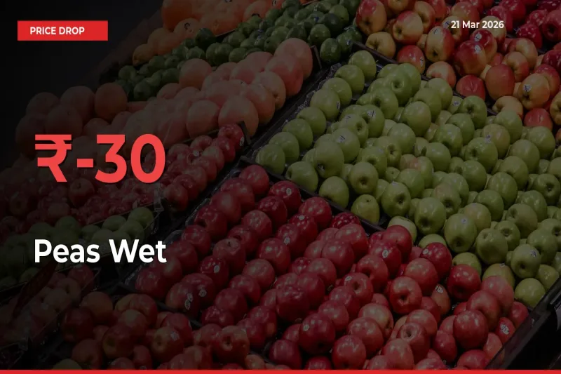 Peas Wet Prices Drop 30.23% in 24 Hours at Major Mandis