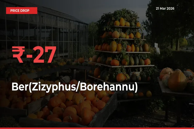 Why Ber(Zizyphus/Borehannu) Prices Fell 27.29% in a Day at Mandis