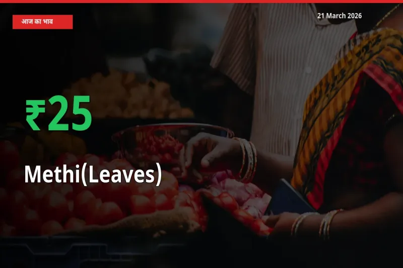 तेज़ तेजी! मंडी में हरी मेथी के दाम 25.41% चढ़े