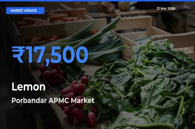Lemon Mandi Rate Today: Porbandar APMC Tops the List