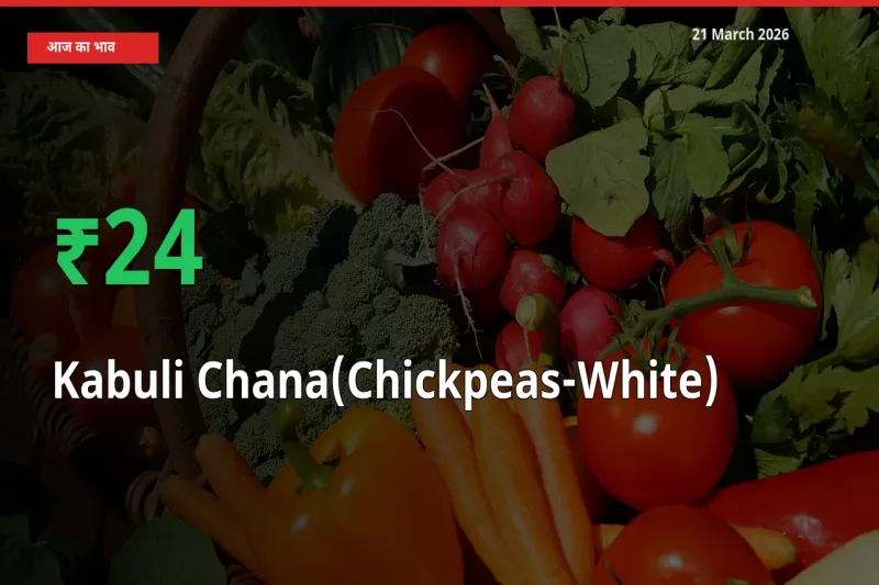 तेज़ तेजी! मंडी में काबुली चना के दाम 23.81% चढ़े