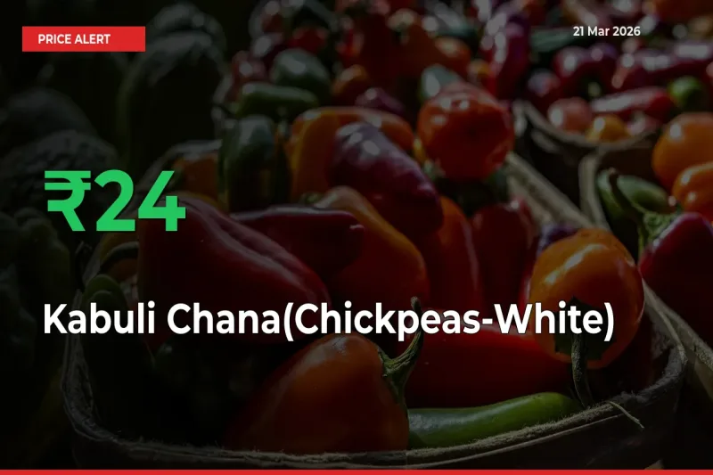 Kabuli Chana(Chickpeas-White) Mandi Rate Today: Prices Jump 23.81% at Market