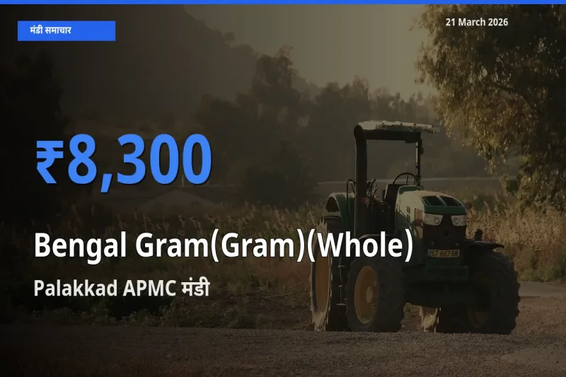 किसानों की पसंद बना Palakkad APMC, चना (साबुत) के सबसे अच्छे दाम