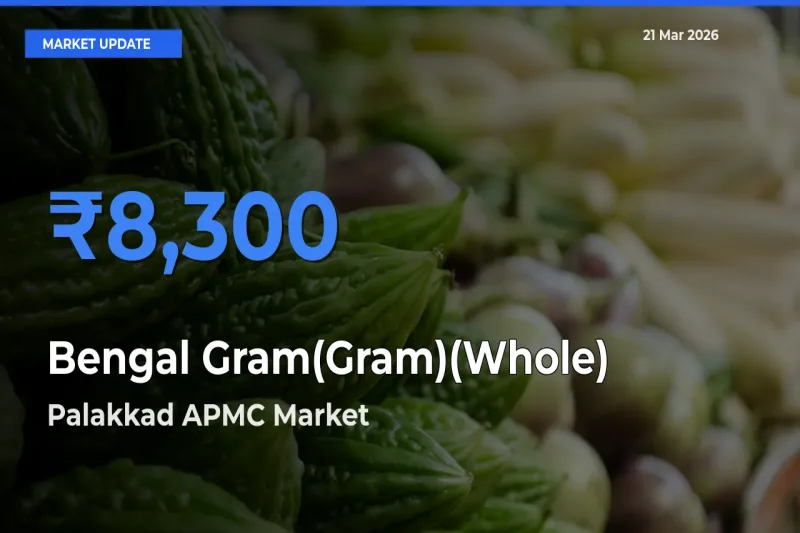 Palakkad APMC Tops Bengal Gram(Gram)(Whole) Rates – March 21 Market Update