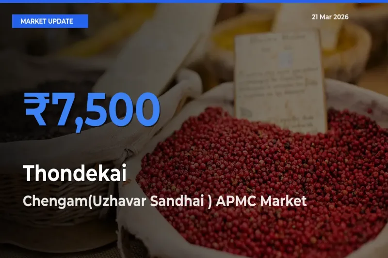 Chengam(Uzhavar Sandhai ) APMC Tops Thondekai Rates – March 21 Market Update