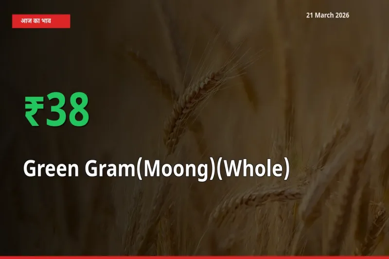 बाज़ार संकेत: साबुत मूंग के भाव मंडी में 38.14% ऊपर