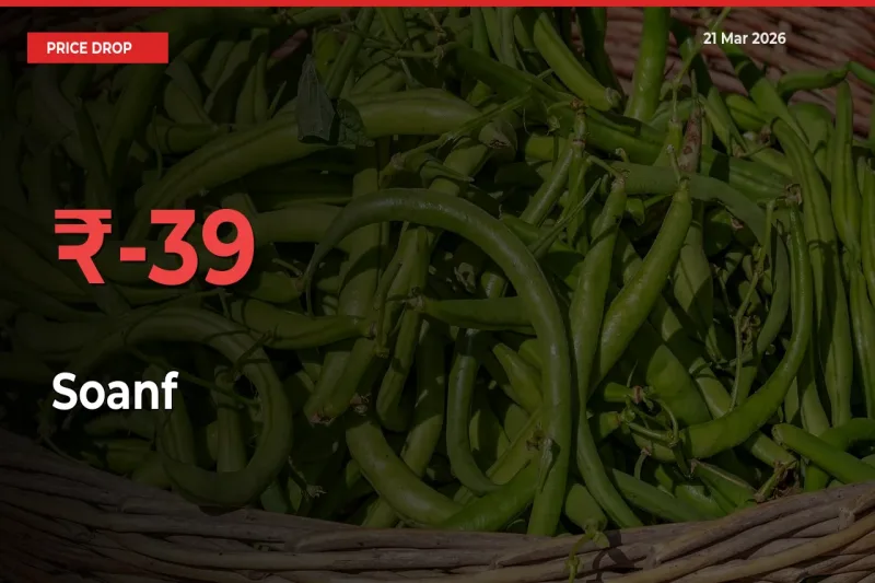 Soanf Falls 38.84% at Mandis