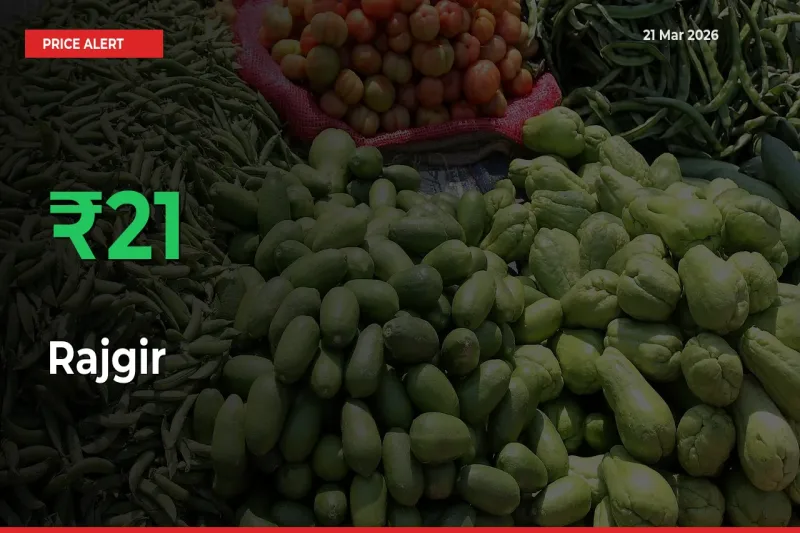 Why Rajgir Prices Rose 20.76% in a Day at Mandis
