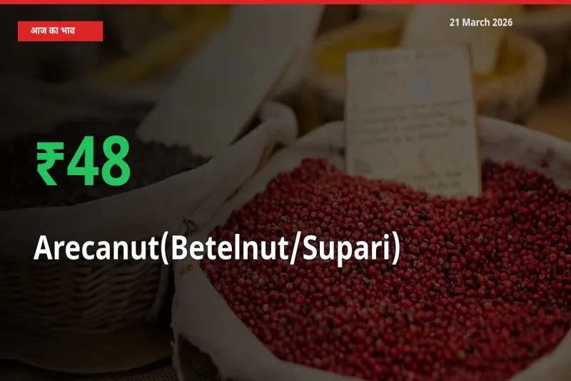 21 March अपडेट: सुपारी के दाम मंडी में 48.39% उछले