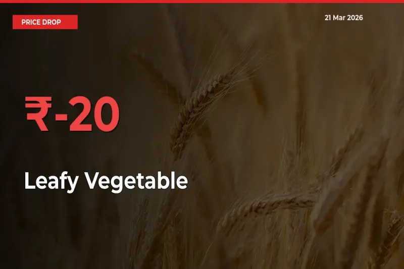 Leafy Vegetable Mandi Rate Today: Prices Fall 20% at Market