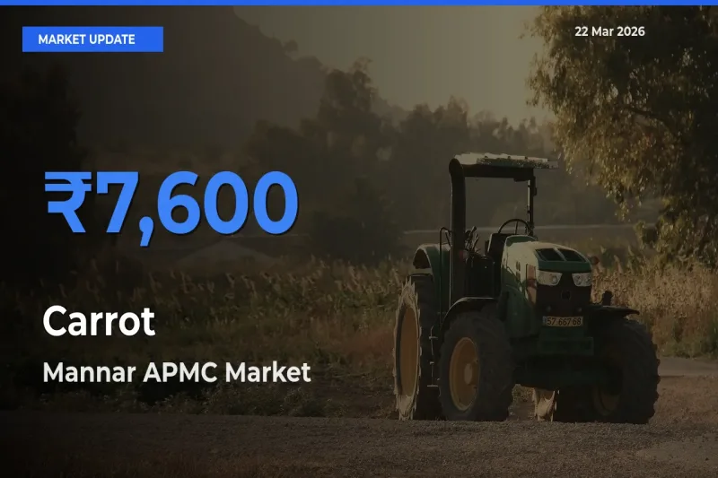 Mannar APMC Records Highest ₹7,600 Rate for Carrot