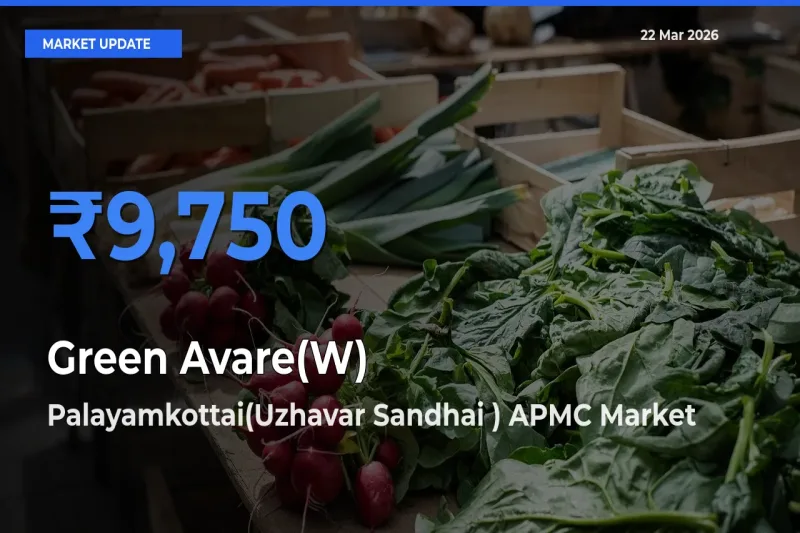 Market Watch: Palayamkottai(Uzhavar Sandhai ) APMC Becomes Top Mandi for Green Avare(W)
