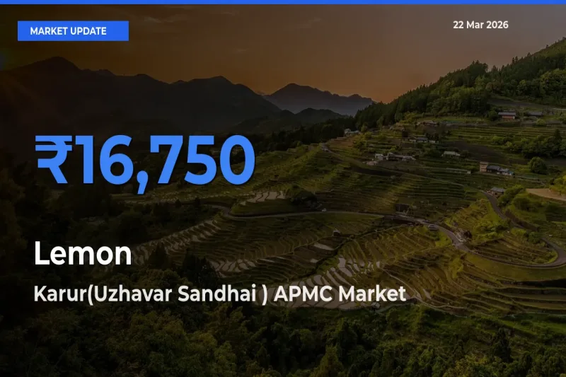 Karur(Uzhavar Sandhai ) APMC Tops Lemon Mandi Rates Today