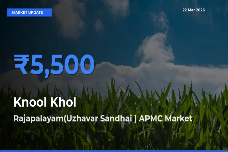 Rajapalayam(Uzhavar Sandhai ) APMC Tops Knool Khol Rates – March 22 Market Update