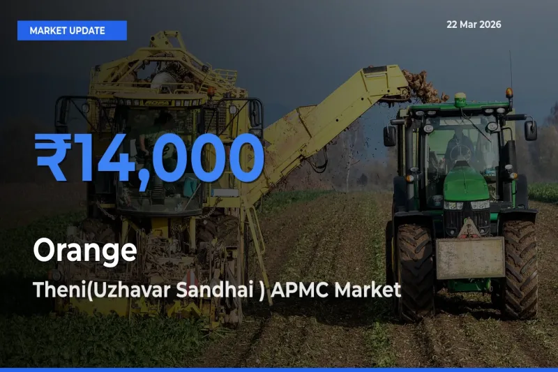 Farmers Prefer Theni(Uzhavar Sandhai ) APMC as Orange Hits Highest Rate