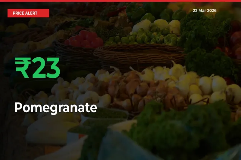 Pomegranate Prices Rise 22.75% in a Day at Major Mandis