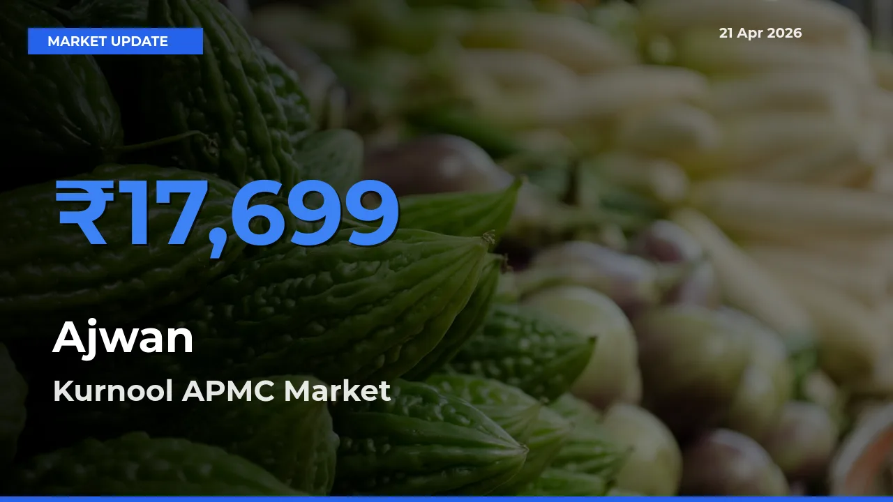 Ajwan Mandi Rate Today: Kurnool APMC Tops the List
