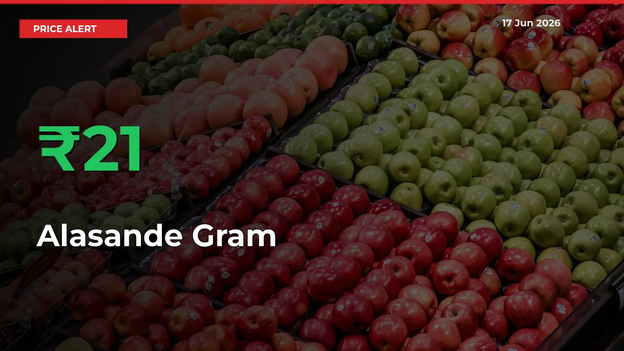 Big Rally! Alasande Gram Climbs 21.29% in 24 Hours at Top Mandis