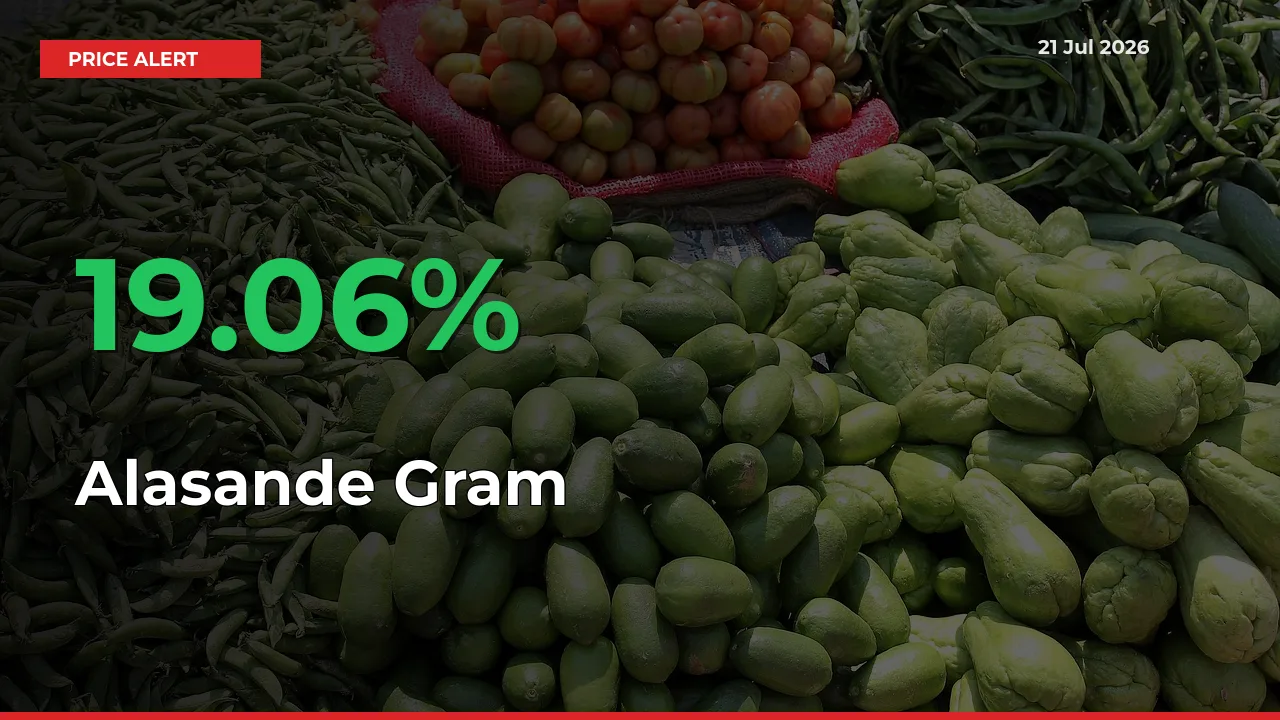 Why Alasande Gram Prices Rose 19.06% in a Day at Mandis