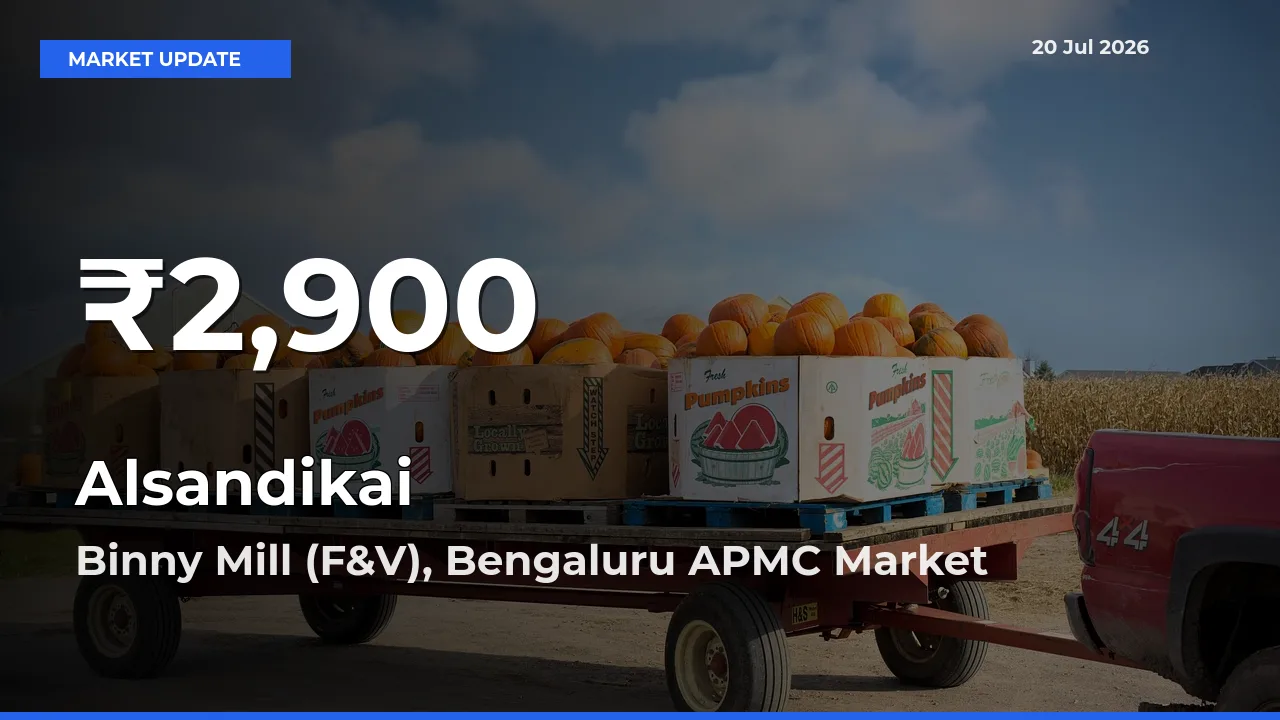 Alsandikai Hits 30-Day Low in Binny Mill (F&V), Bengaluru APMC