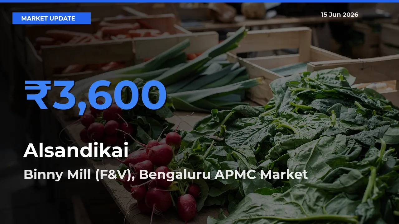 Binny Mill (F&V), Bengaluru APMC Offers ₹3,600 – Highest Alsandikai Rate Today